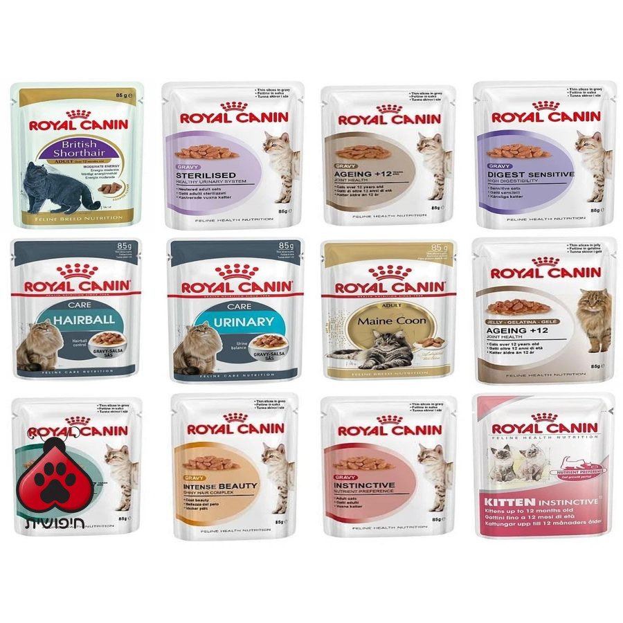 רויאל קנין מעדני פאוץ' לחתול – מגוון צרכים · Royal Canin