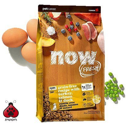 נאו גורים הודו סלמון וברווז 2.7 ק"ג NOW