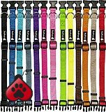 Pets Project פטס פרוג'קט קולר בייסיק XL