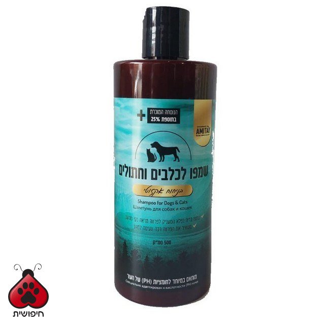 שמפו אמיתי אקזוטי מבושם 400 מ"ל
