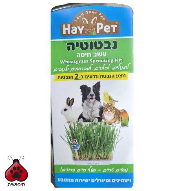 היי פט נבטוטיה עשב חיטה להנבטה ביתית לכלבים וחיות מחמד