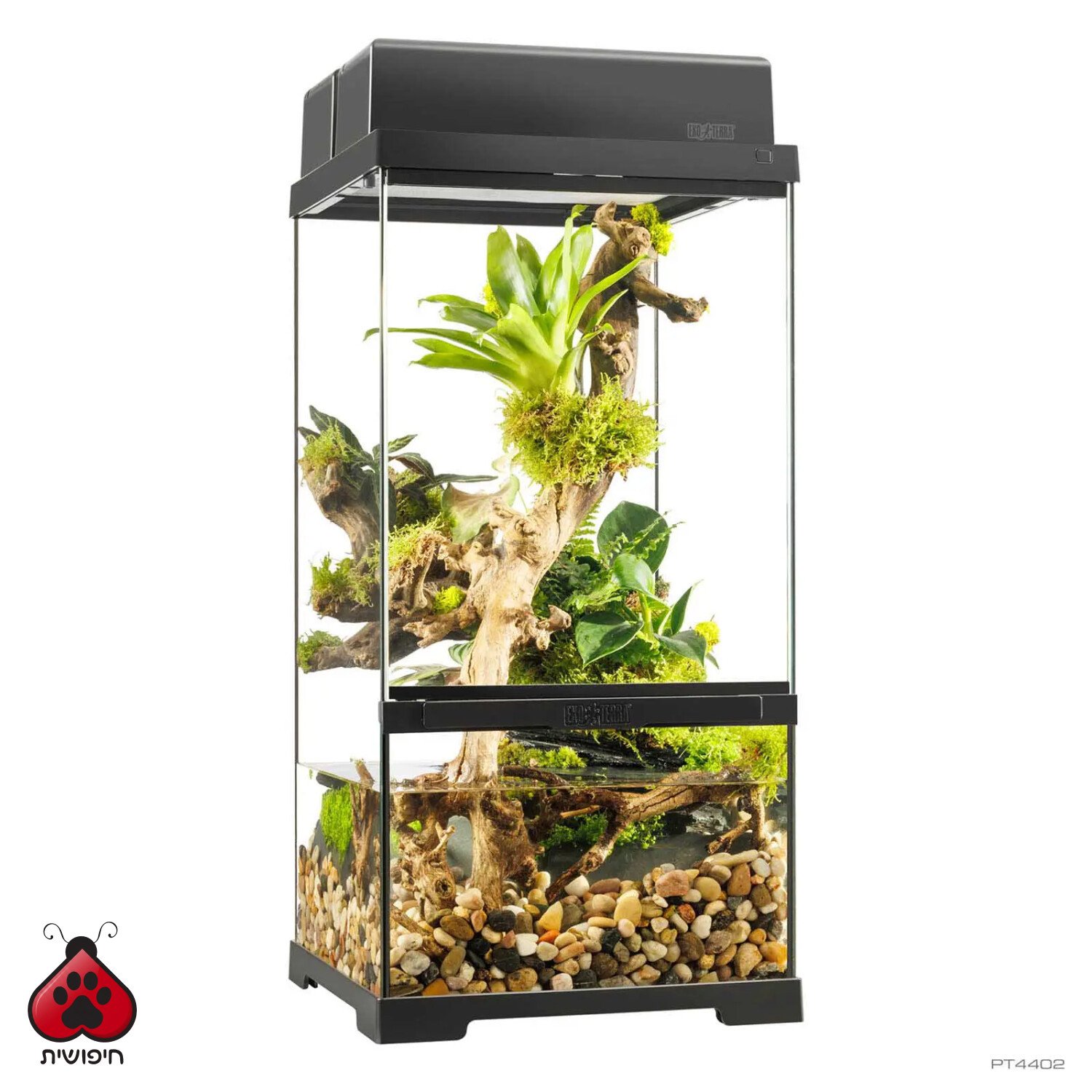 אקזוטרה פאלודריום פרו גבוה 60×30×30 ס"מ
