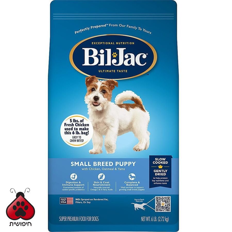 ביל ג'ק – גורים גזע קטן, 2.72 ק"ג · Bil-Jac Small Breed Puppy