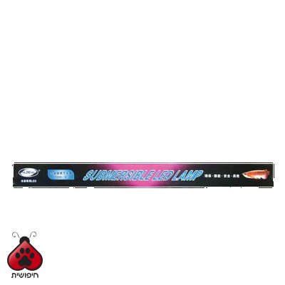מנורה 10 RGB