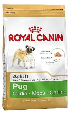 רויאל קנין פאג אדולט 1.5 ק"ג