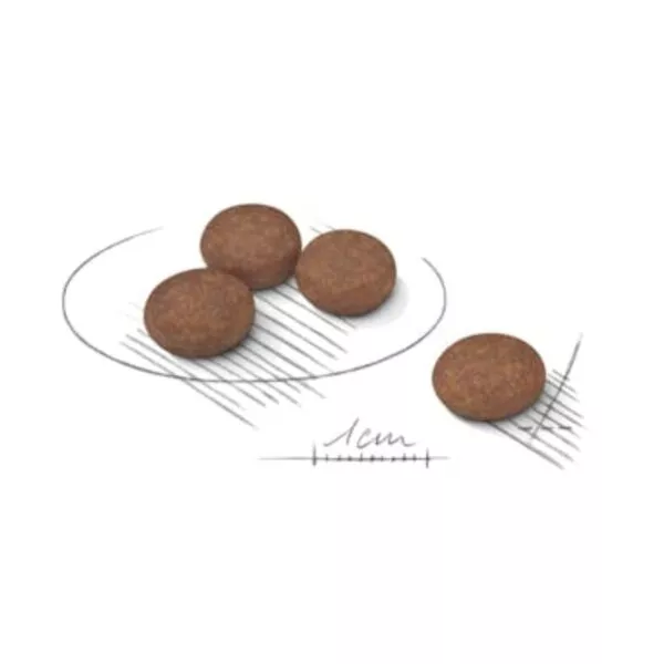 Royal Canin mini sensible